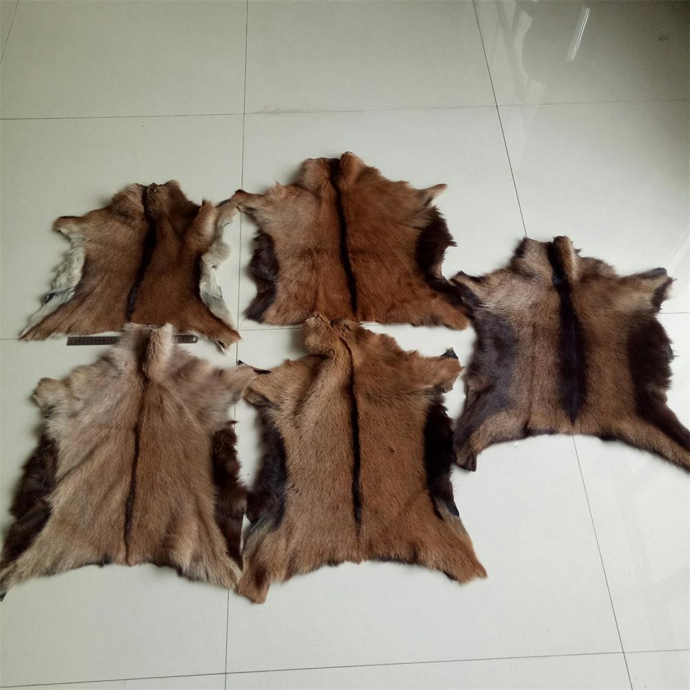 5 Pieces Real Skin Fur Pelt Rug Goat Hide Tanned Leather Soft Clothing 30-40cm