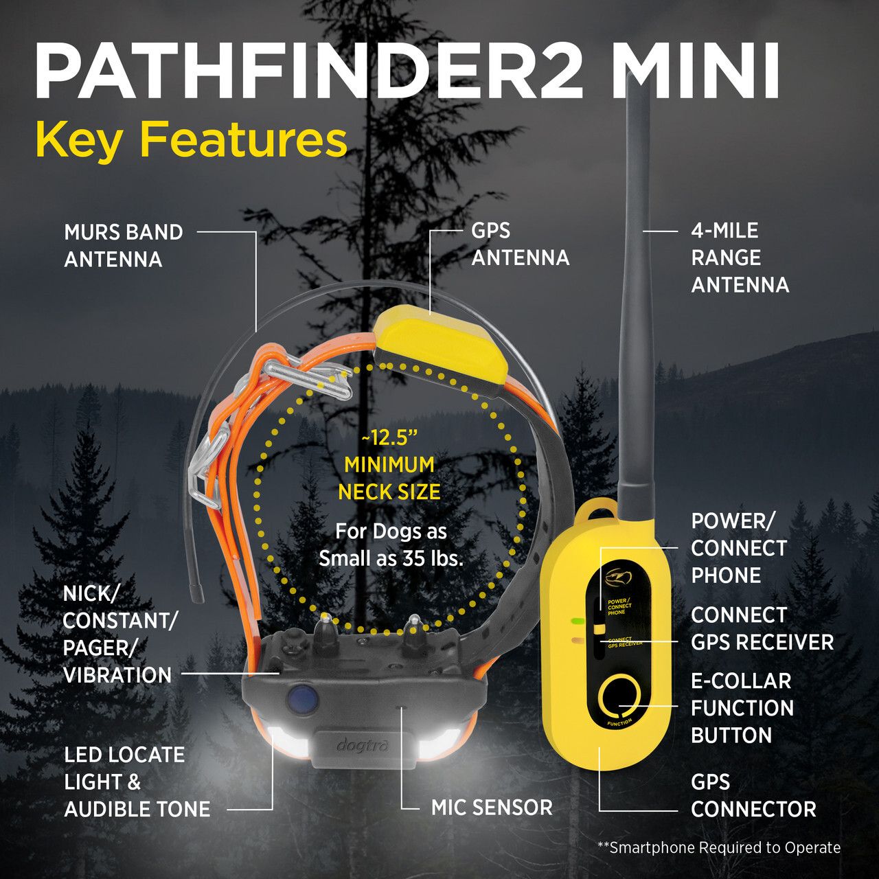 Dogtra PATHFINDER2 MINI GPS Tracking & Training E-Collar SmartPhone FREE Cut'em