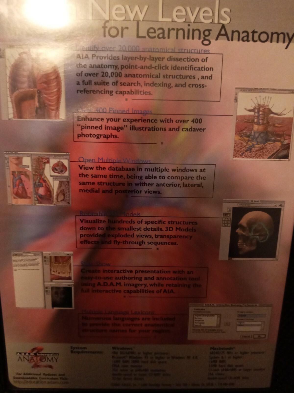 Interactive ANATOMY Student Edition CD ROM