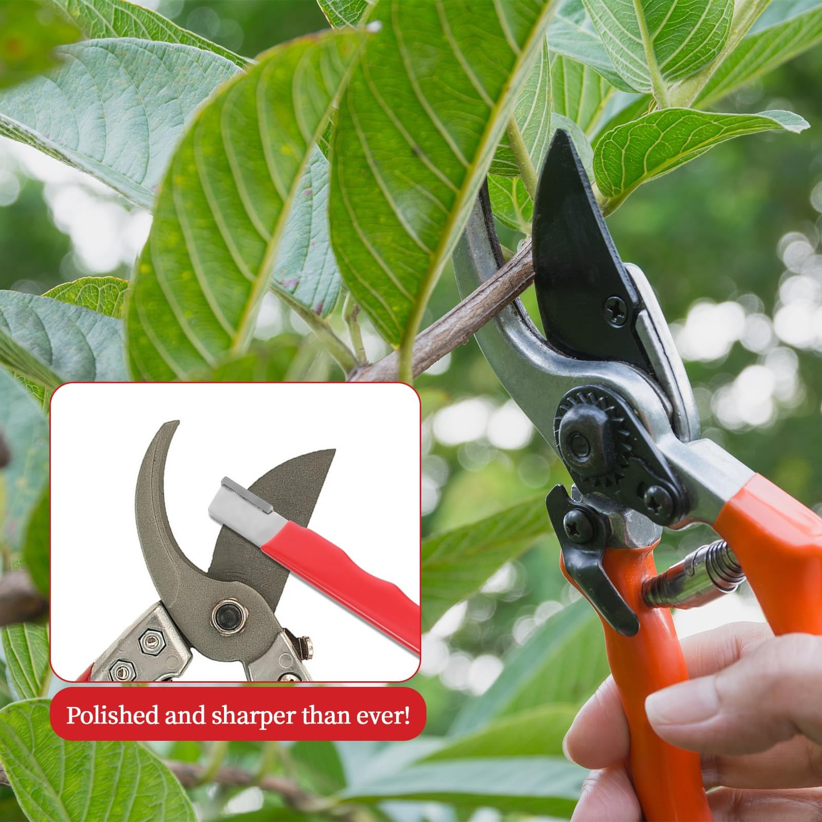 JIYIN 4 Pack Garden Tool Sharpener, Pruning One Size, Black, Red, Silver