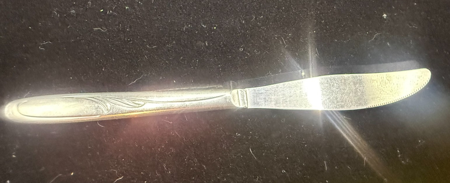 Vibrant Stainless Steel 8 1/4" Modern Solid Knife International Silver