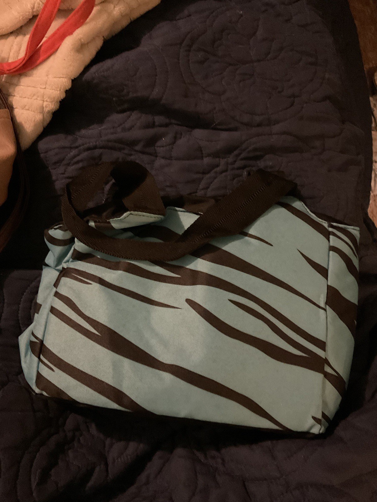 Insulated Cooler Bag Igloo Brand Zebra Stripe Pattern 13x8