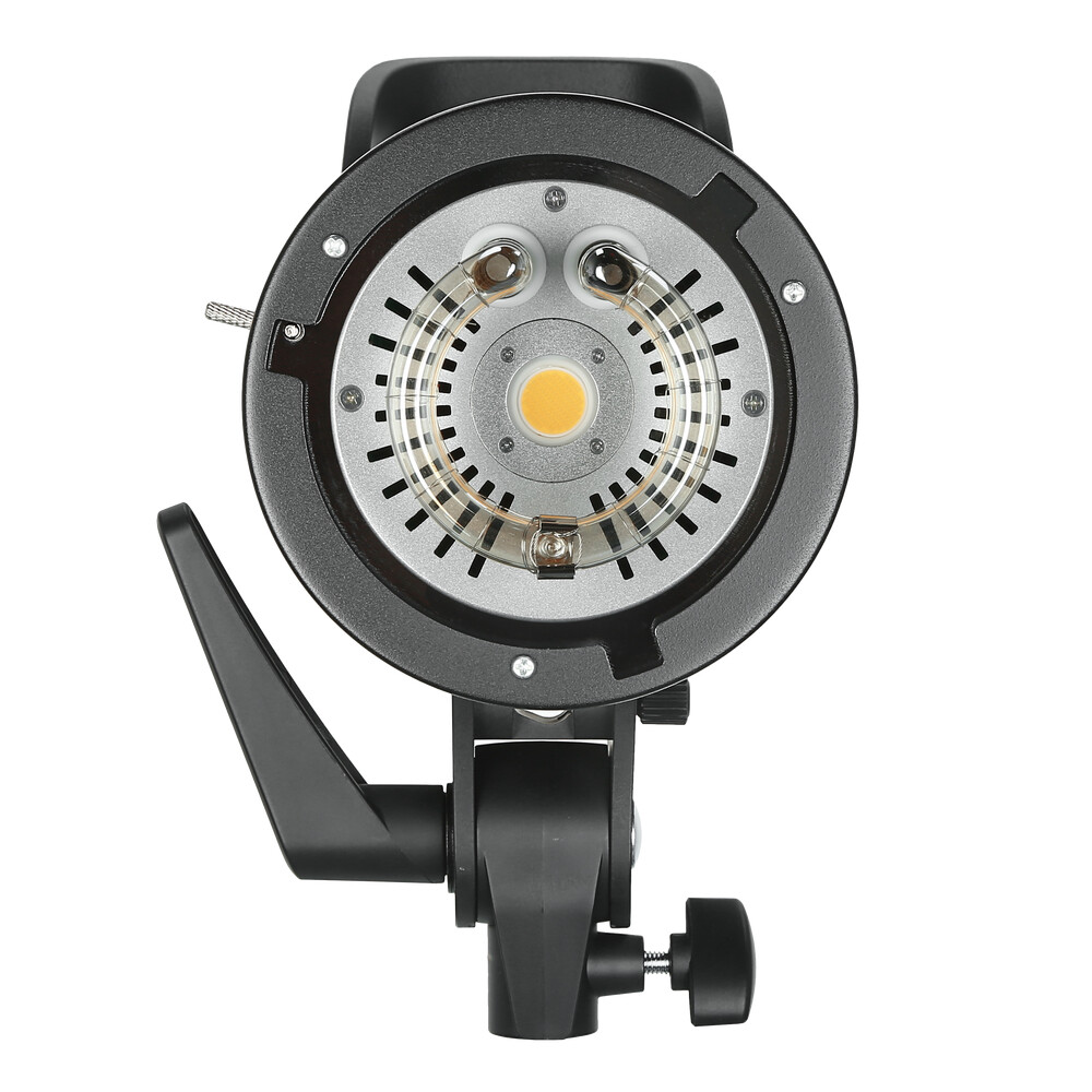 Godox SK300II-V Studio Strobe Flash with Reflector+60*90cm Grid Softbox+2M Stand