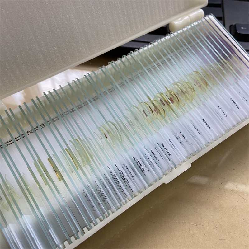 50PCS Prepared Microscope Parasitology Slides for Educational Teaching