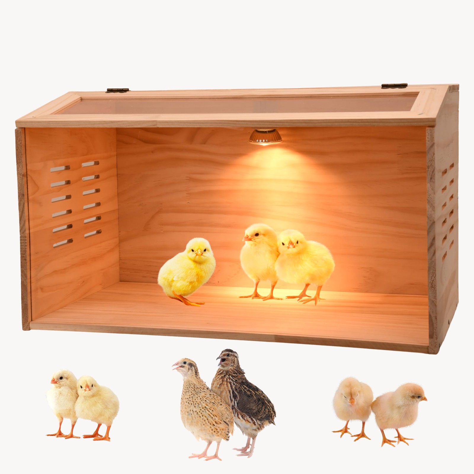 Brooder Box for Chicks, Chicken Brooder Box, Poultry Brooder with Heaters, Ch...