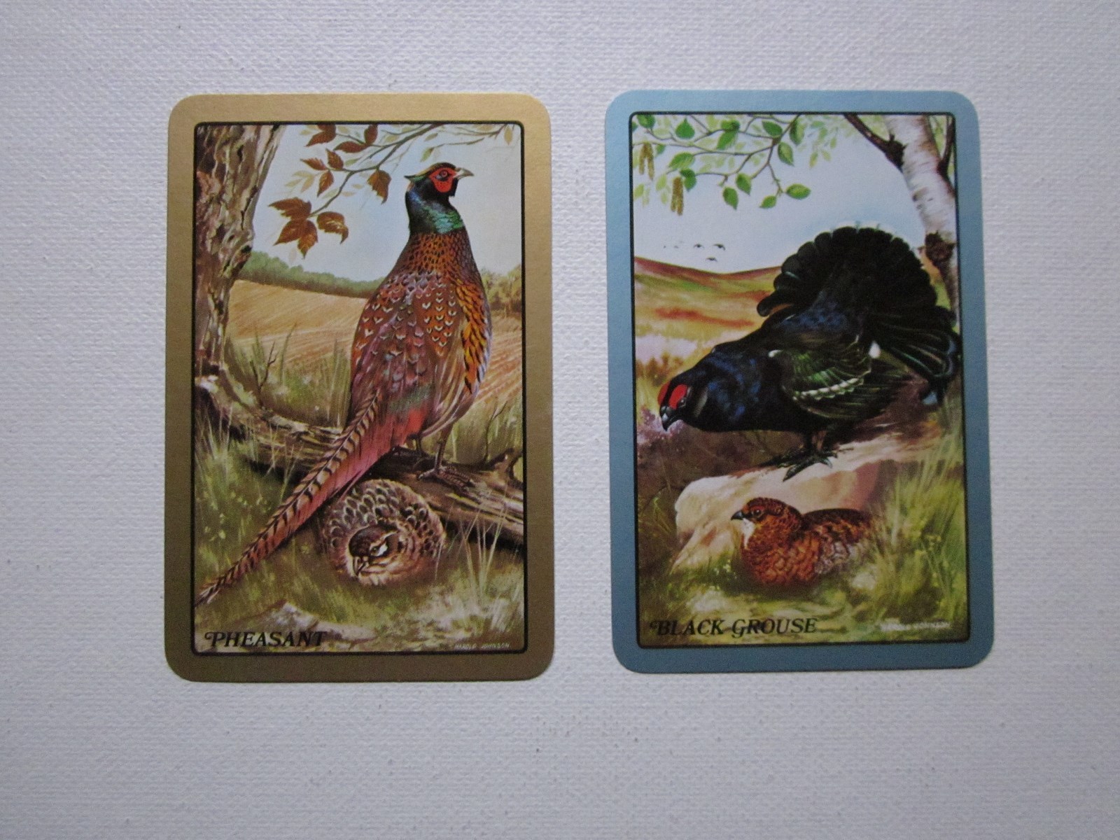 TWO SWAP CARDS - VINTAGE - ART - GROUSE - PHEASANT-  Unused Condition