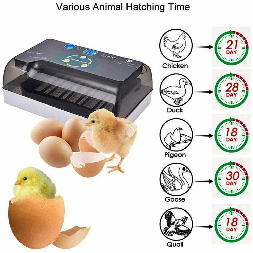 12 Eggs Incubator Automatic Eggs Hatcher For Chicken Quail Poultry Hatching US