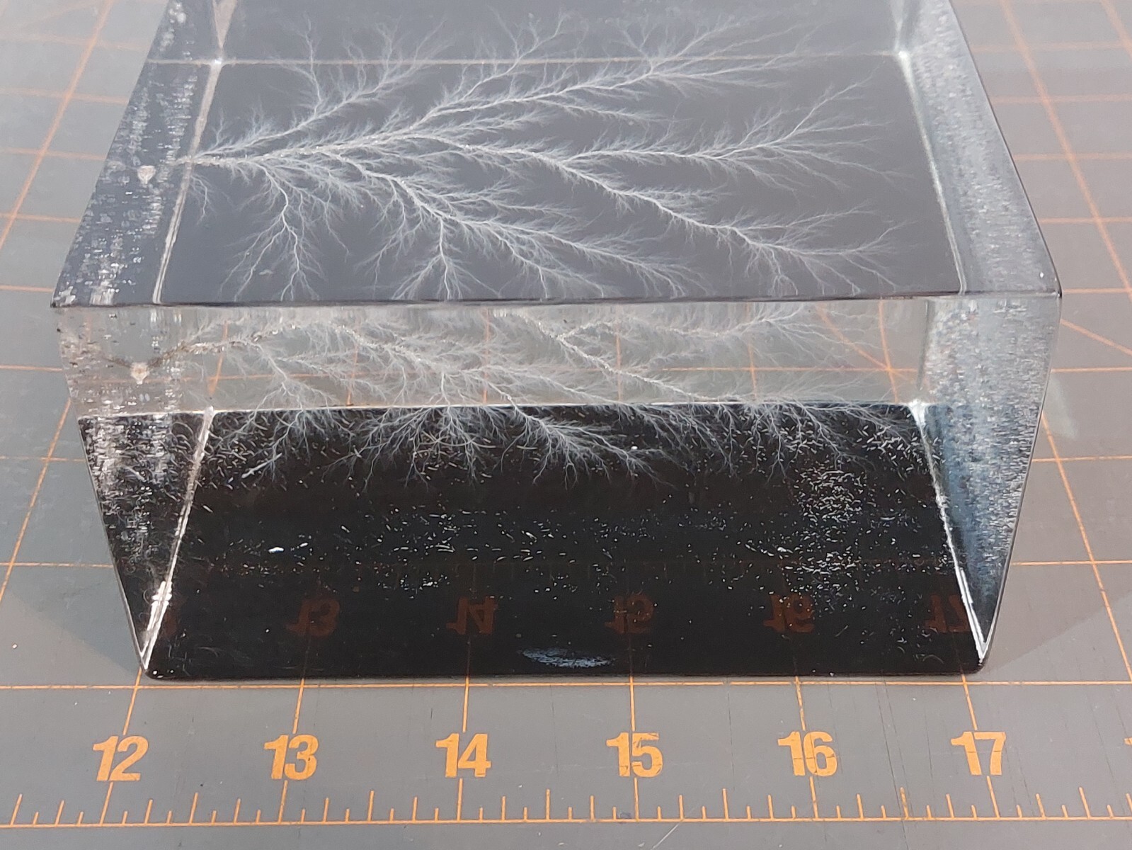 Captured Lightning Lichtenberg Figure Electron Tree Paperweight