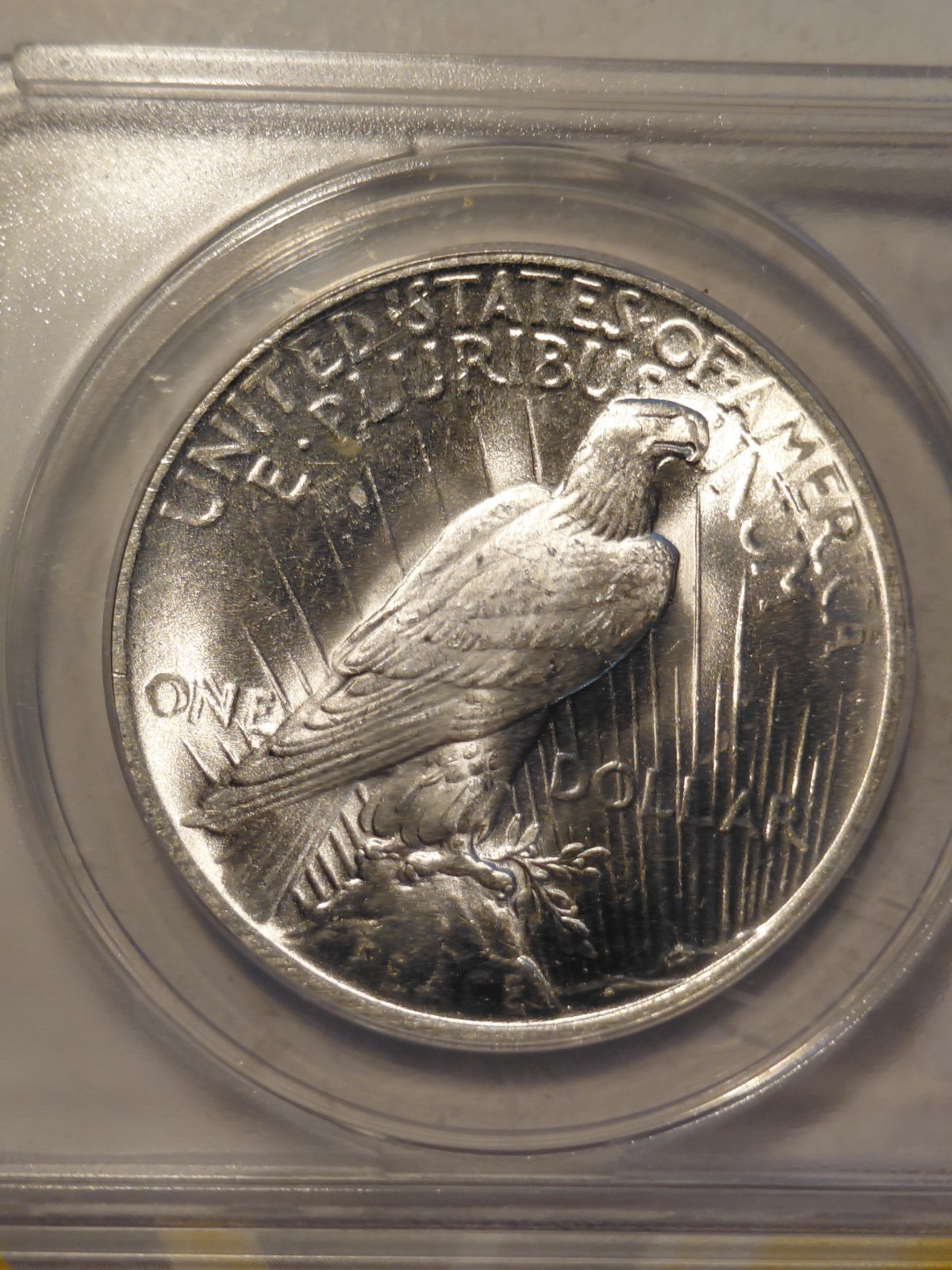 1923 Peace Dollar MS 64 ANACS