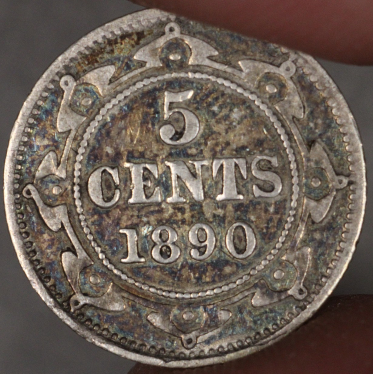 1890 Newfoundland Silver 5 Cents