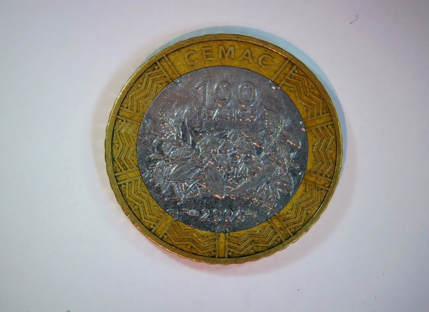 Central African Economic and Monetary Community (CEMAC) 2006 100 Francs CEMAC 10