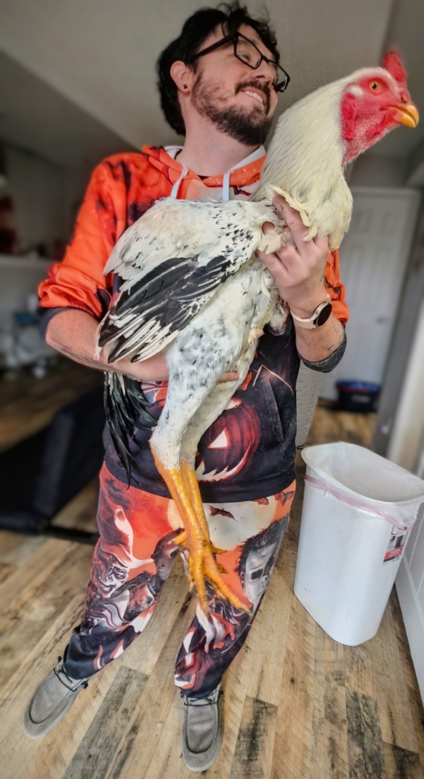 12 Fertile Indio Gigante Hatching Eggs | Rare Giant Chicken | Blue Egg Genetics