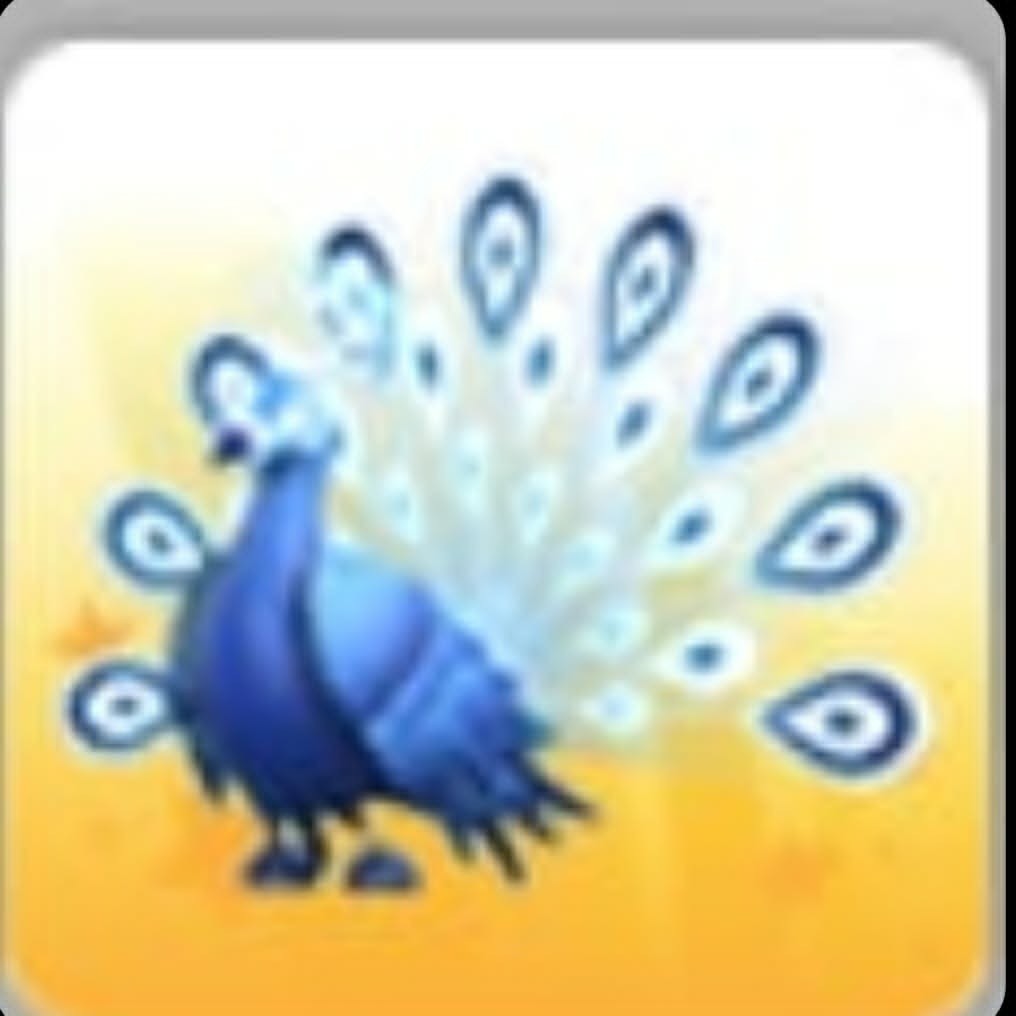 Moonbeam Peacock | Adopt Now