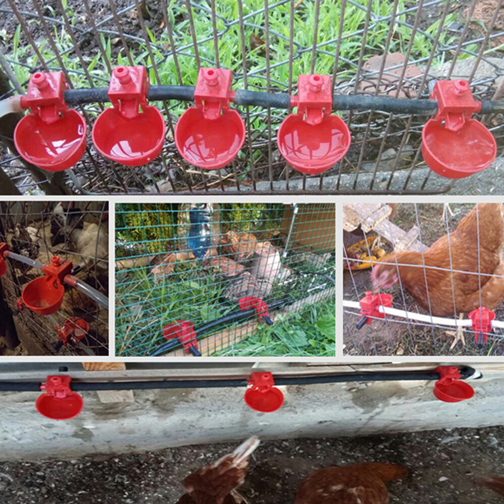10/20PC Poultry Water Drinking Cups Chicken Hen Plastic Automatic Drinker Quail