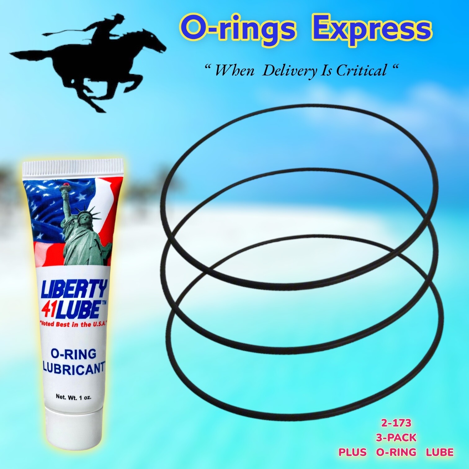 2-173  Buna 70A O-Ring 8 1/2" ID X  8 11/16" OD X 3/32" W 3-PACK + LUBE TUBE