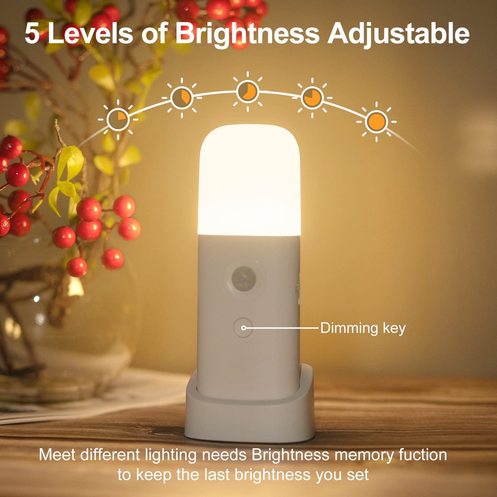 Motion Sensor Night Light, 2000mAh Rechargeable Night Lights Battery Powered,...