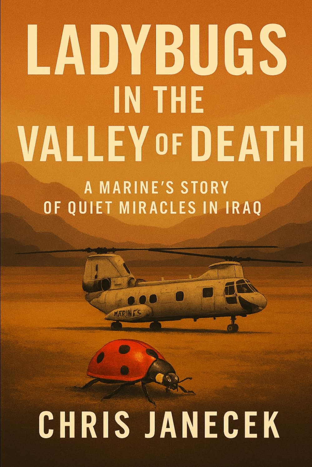 Ladybugs in the Valley of Death: A Marine’s Story of Quiet Miracles in Iraq