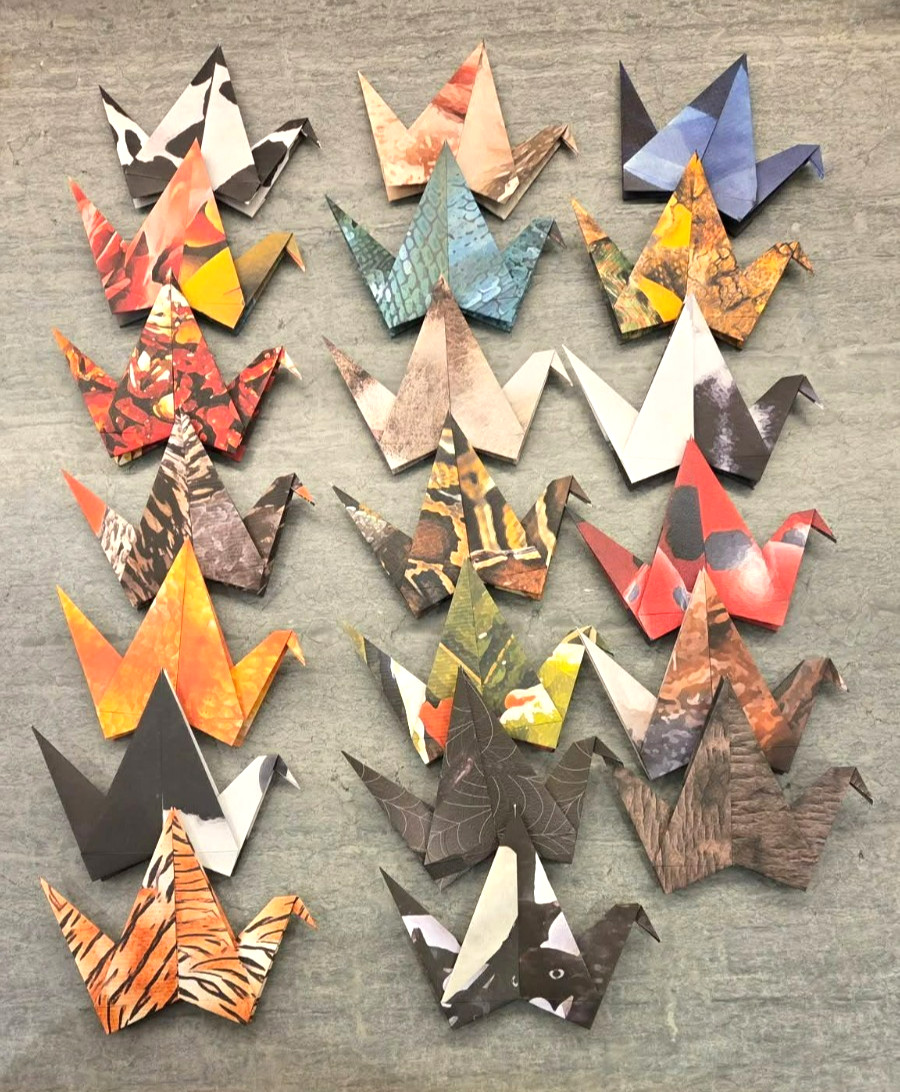 20x Large Animals Reptiles Insects 6" x 6" Handmade Paper Origami Cranes