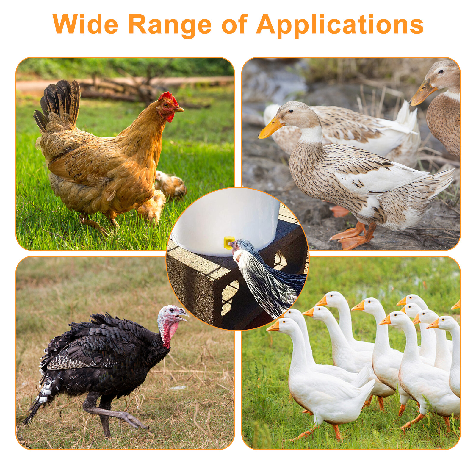 15Pcs Automatic Chicken Nipples Waterer with Drill Bits No Leak Poultry Drinking