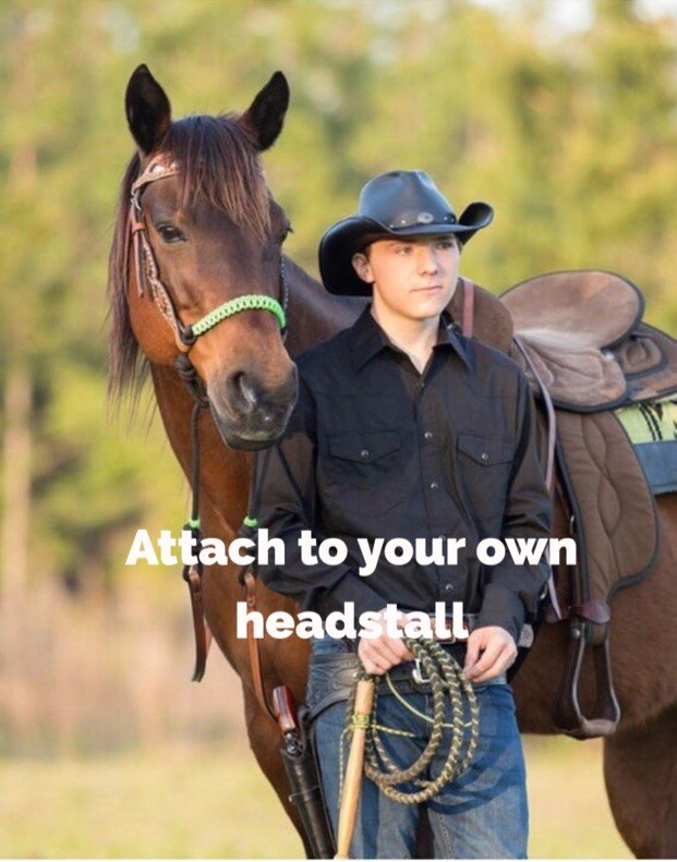 indian bosal attachment Rainbow bitless bridle minis to drafts