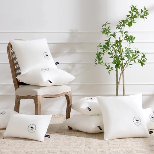 18x18 Outdoor Pillow Inserts - Pack of Waterproof Outdoor Throw 18x18 Inch 4