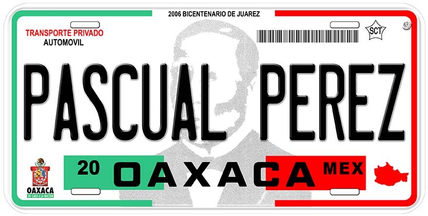 Zaragoza Oaxaca Mexico Any Name Personalized Novelty Car License Plate