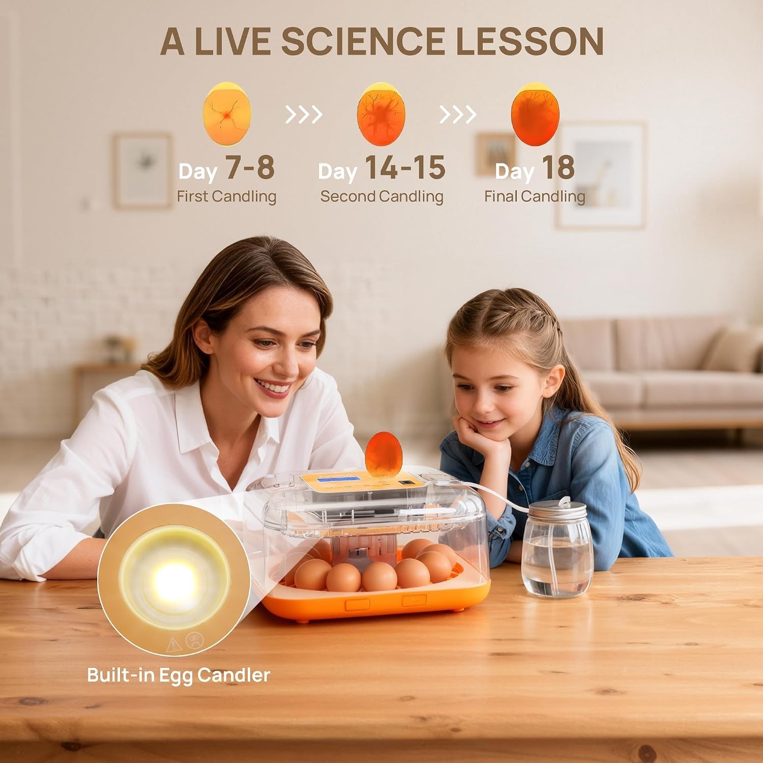 Incubator for Hatching Eggs, Automatic Turning, Temperature & Humidity Contro...
