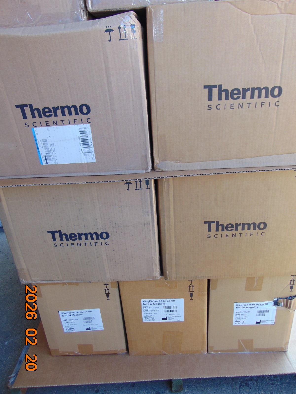 KingFisher 96 TIP COMB Thermo Scientific 97002534 FOR DW MAGNETS 10 Box of 10x10