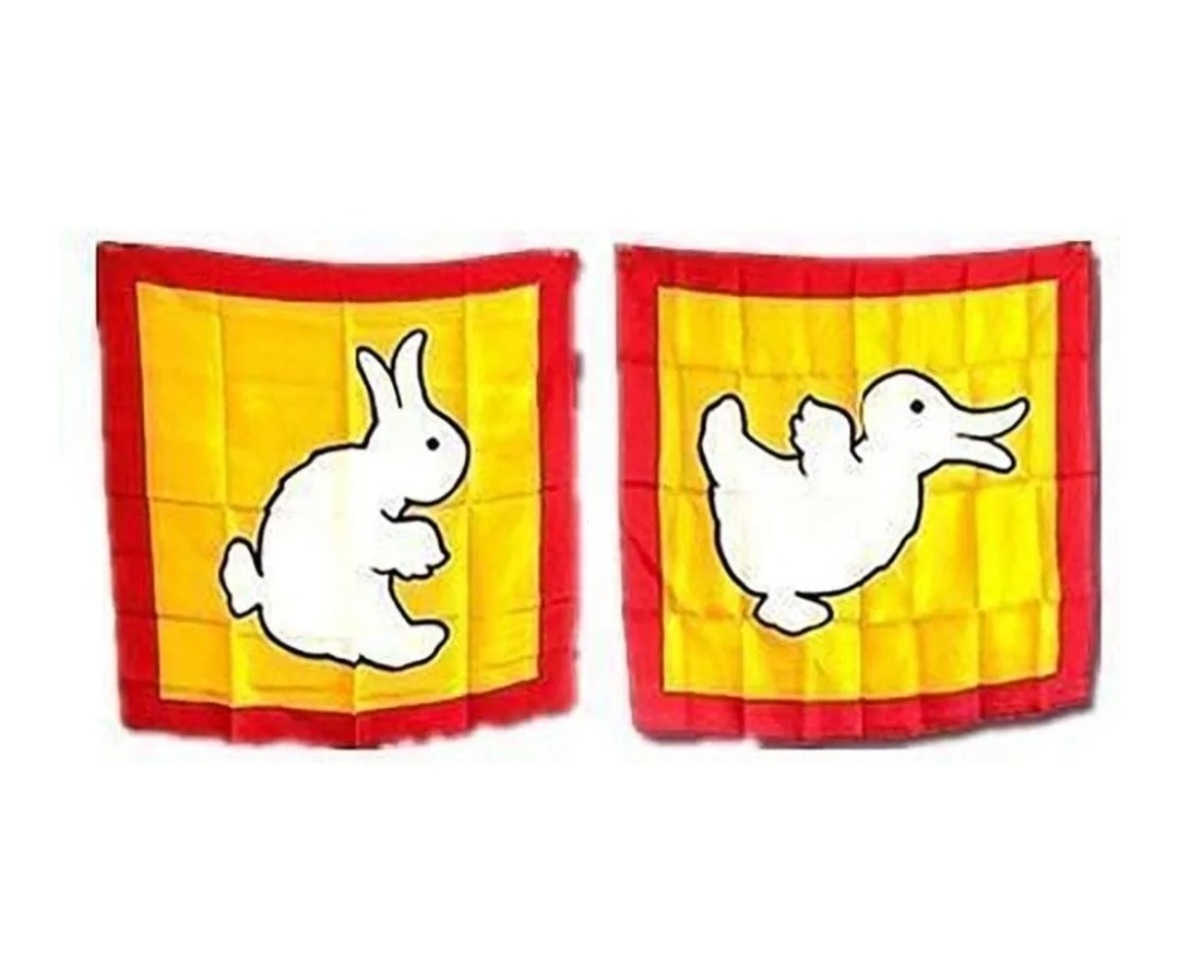 Magic Trick Rabbit to Duck Changing Silk ScarF