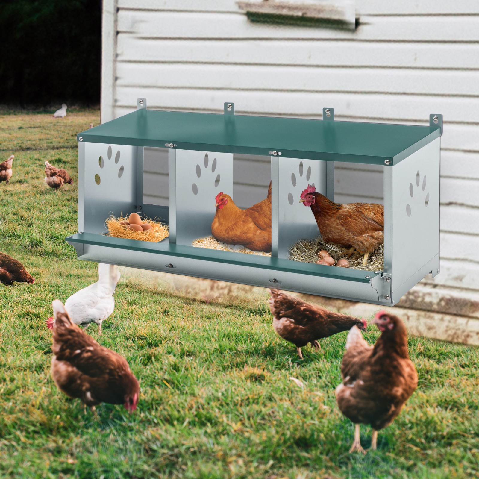 3 Hole Chicken Nesting Box Hen Laying Boxes Roll Away Nesting Box for Laying Egg