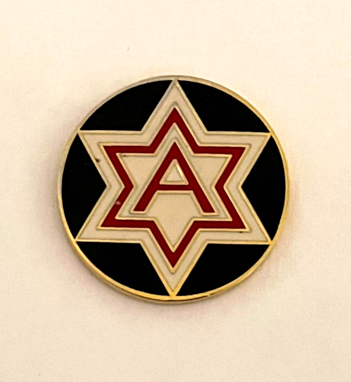 SIXTH U.S. ARMY WWII HAT or LAPEL PIN (P269)