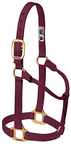 Premium Burgundy Yearling Draft Horse Halter Nylon Heavy Duty Brass Hardware
