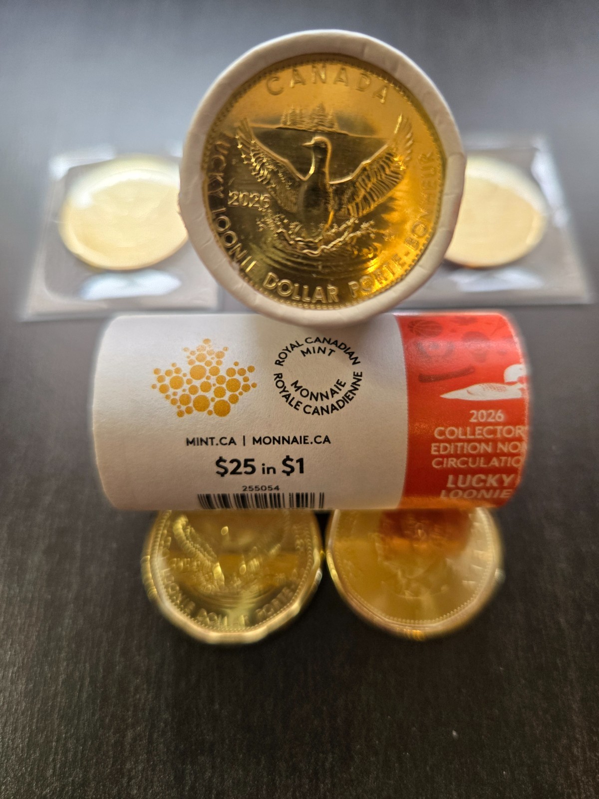 Canada 2026 Lucky Loonie Special Collector’s Edition $1 Dollar Coin from Roll BU