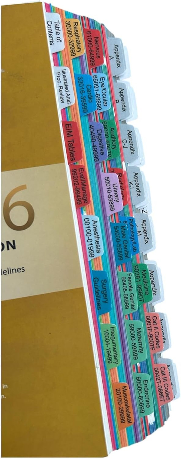 Laminated Book Tabs for CPT 2026 Professional Edition (AMA Version) | Fully Lami