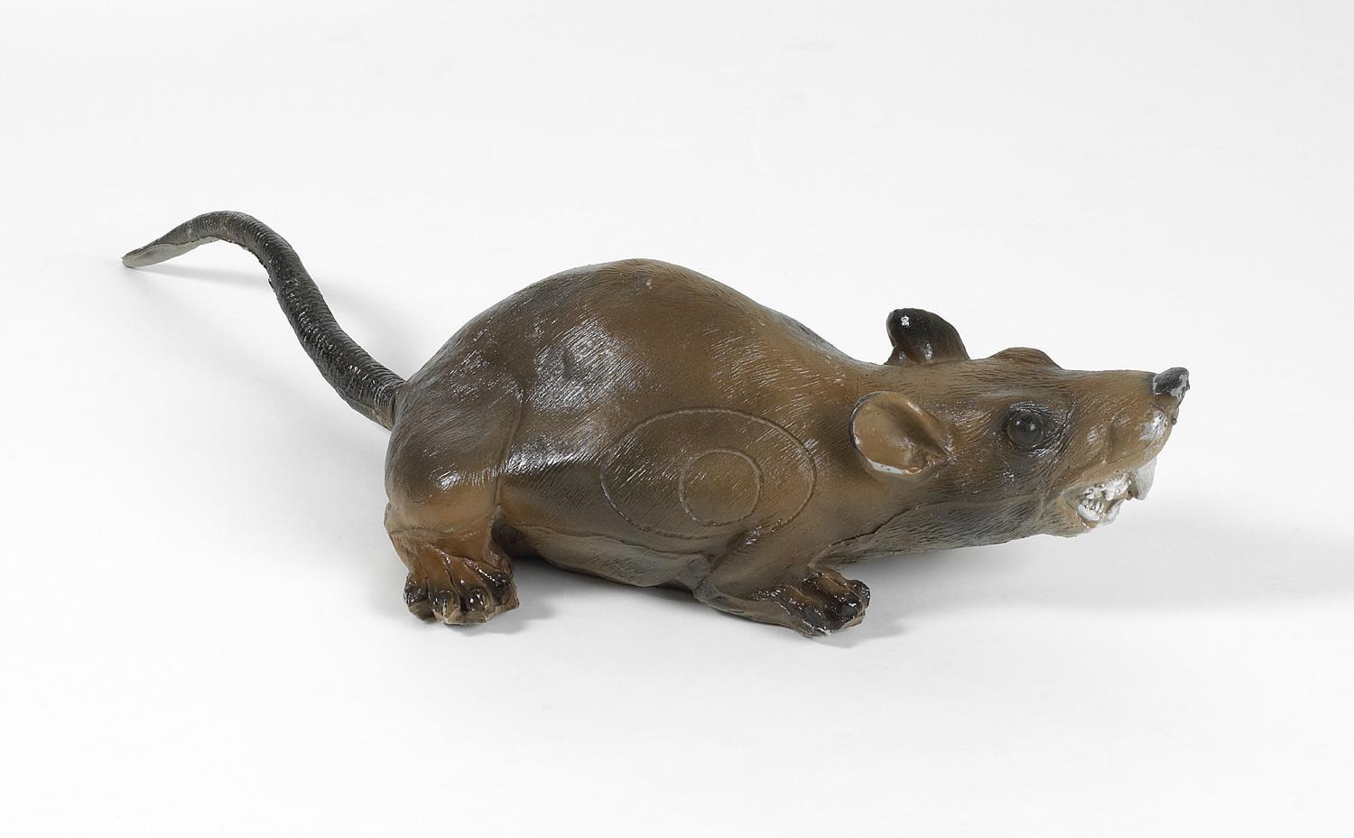 3D Animal LongLife Muskrat