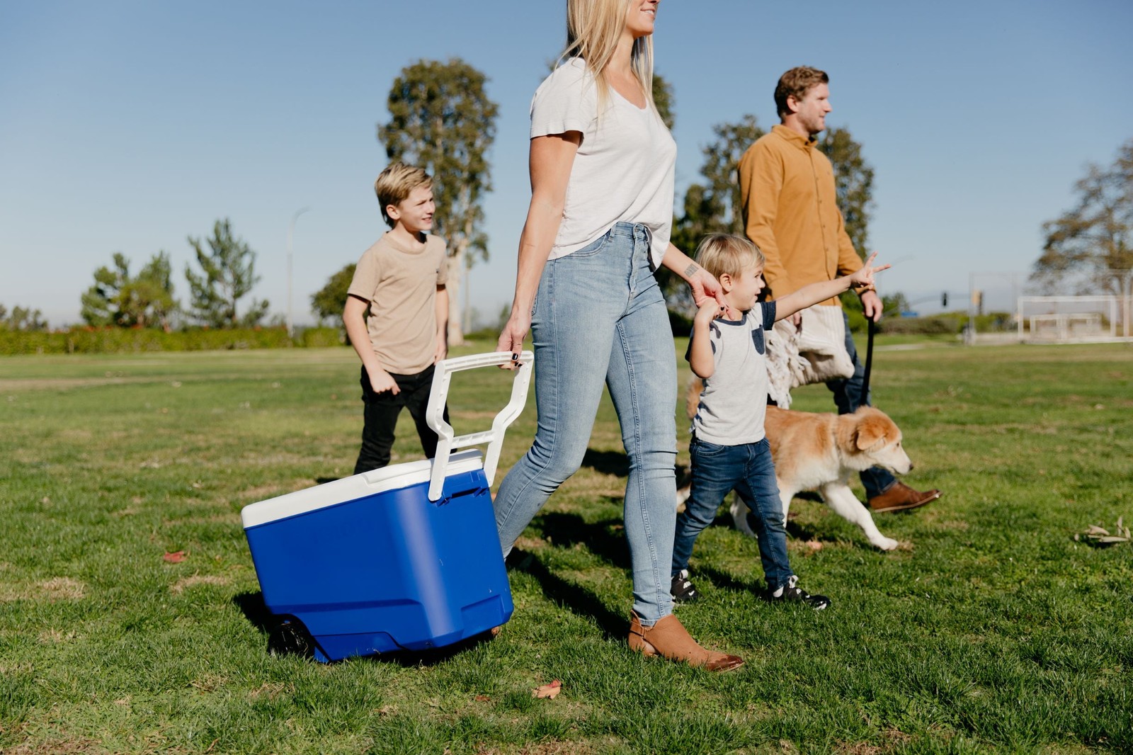 Igloo Wheelie Cool 38 QT Hard Sided Cooler with Wheels, Blue