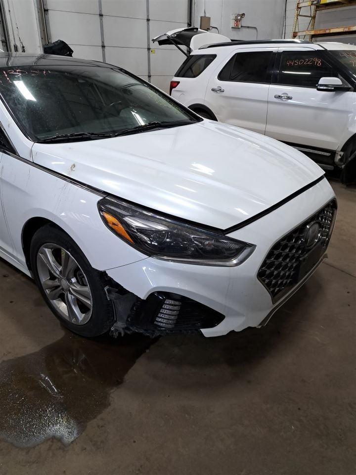 2018 Sonata Jack Sku#4428593