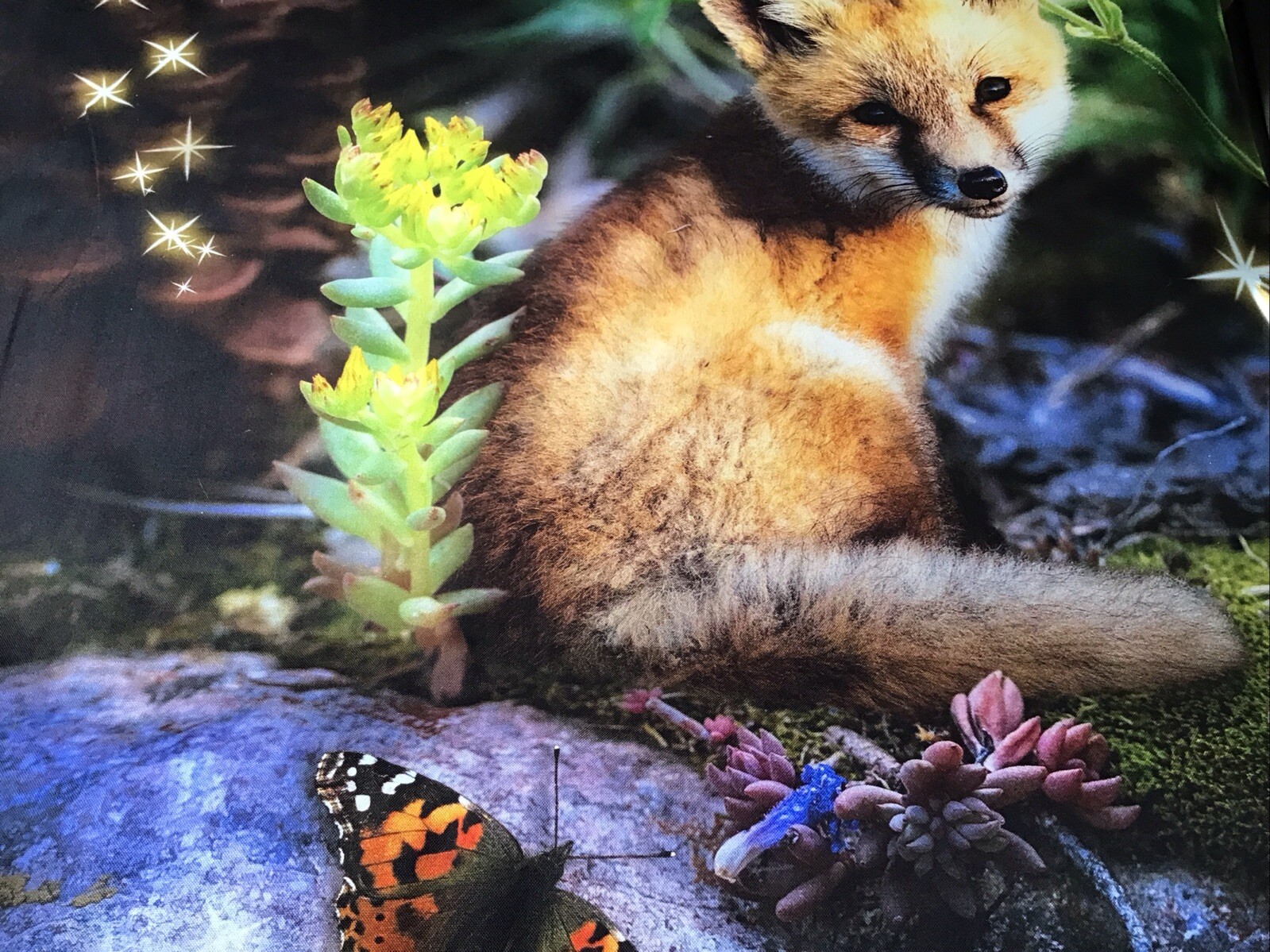 Fabric Hoffman Forest Fox & Butterfly Panel 4483, sold by the panel