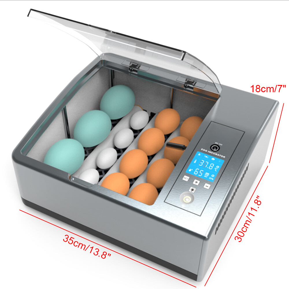 16 Chicken Egg Incubator Fit Hatching Eggs with Automatic Turner Temp Control US