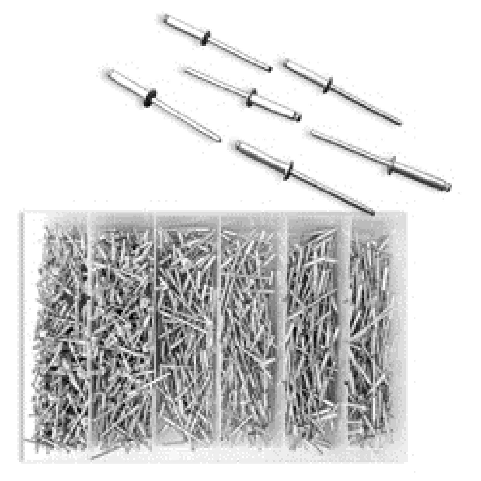1,000pc Rivet Assortment
