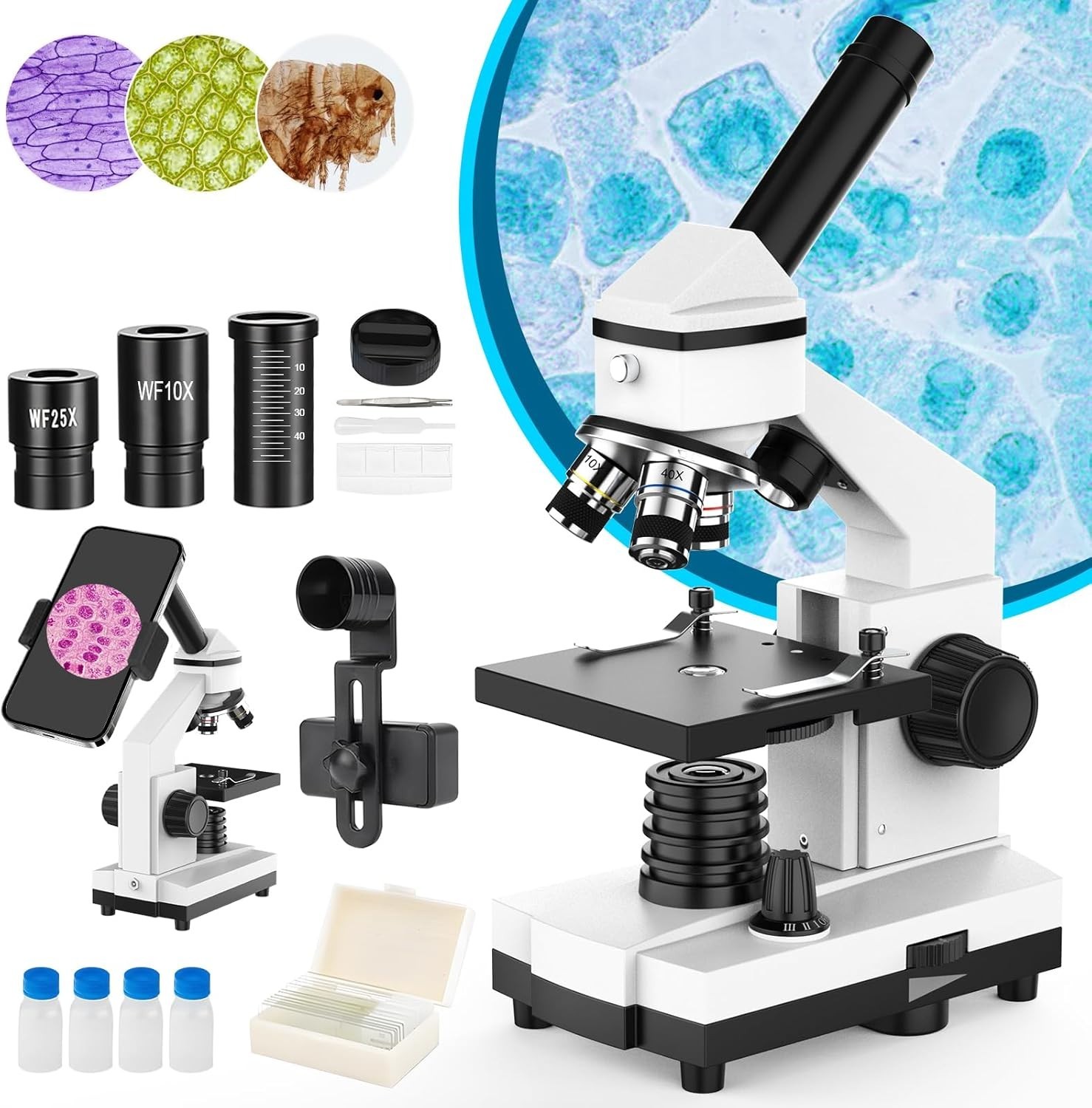 Microscopio para adultos, niños y estudiantes, microscopios 40X-2000X cuerpo.