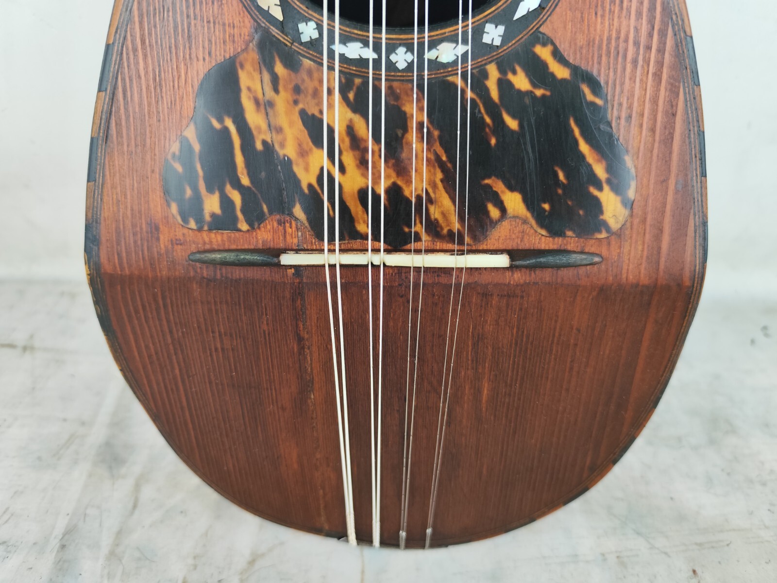 Mandolin 4/4 Viscardo Maccolini 1920 Milan 曼陀林 만돌린マンドリン