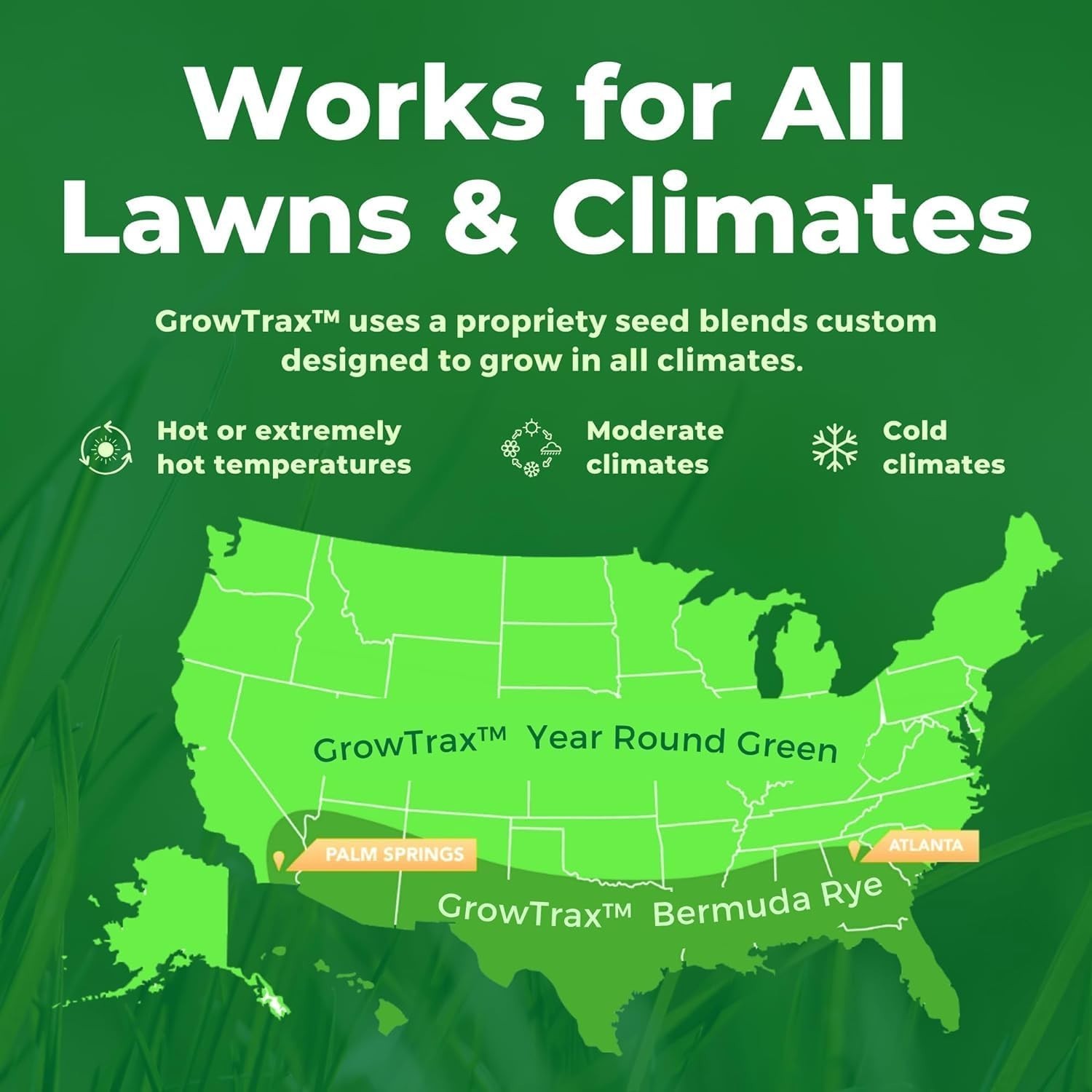 Sustainable Green Grass Seed Mat - -Round Solution for Drought Resistance