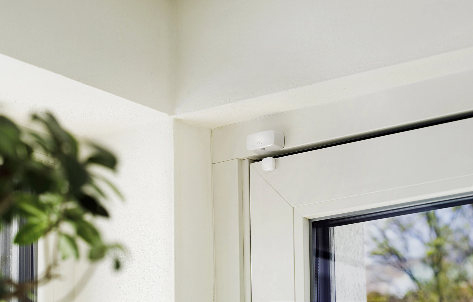 Eve Door & Window (Matter)