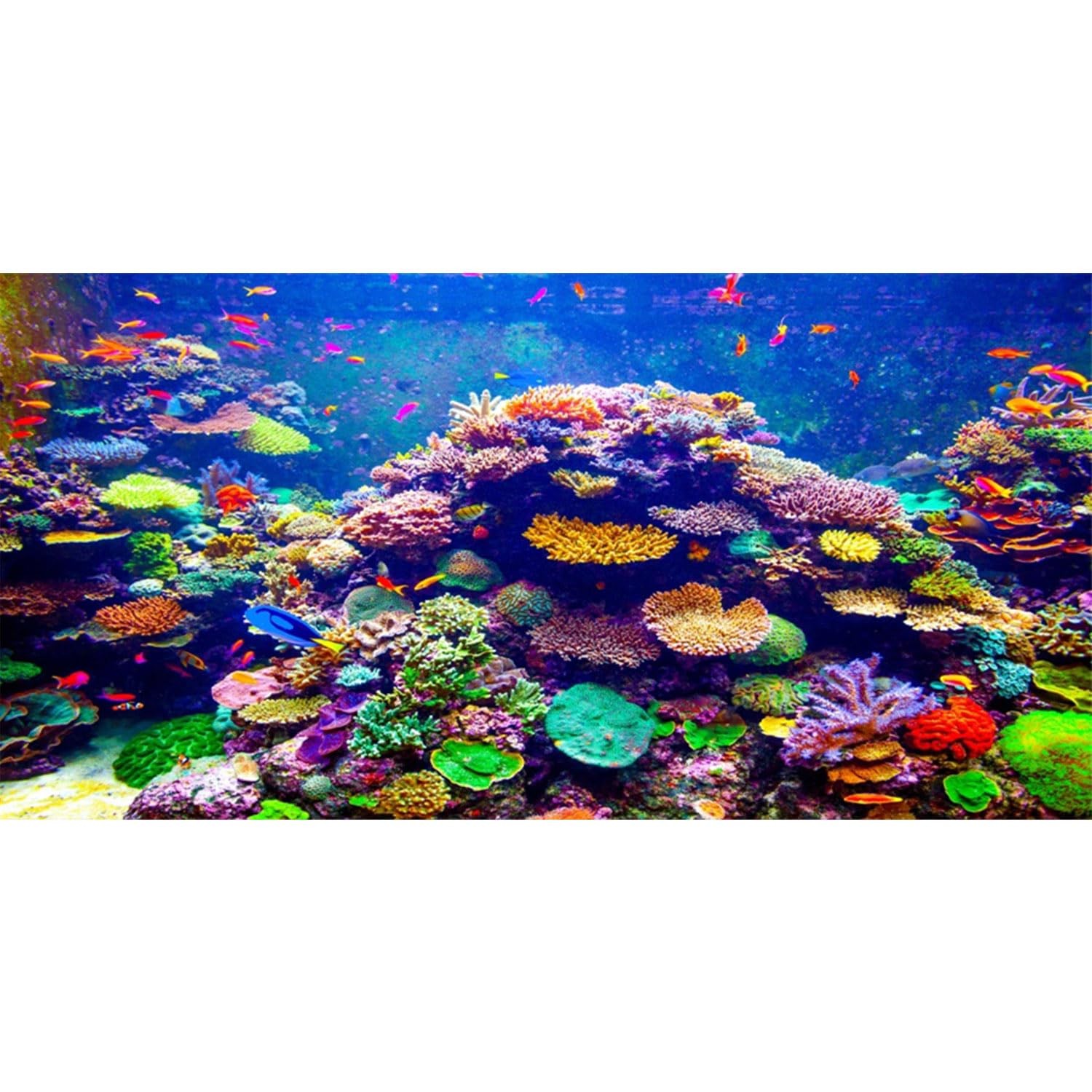 Undersea Theme Aquarium Background 48X24 Inches Vinyl Colorful Coral Tropical Fi