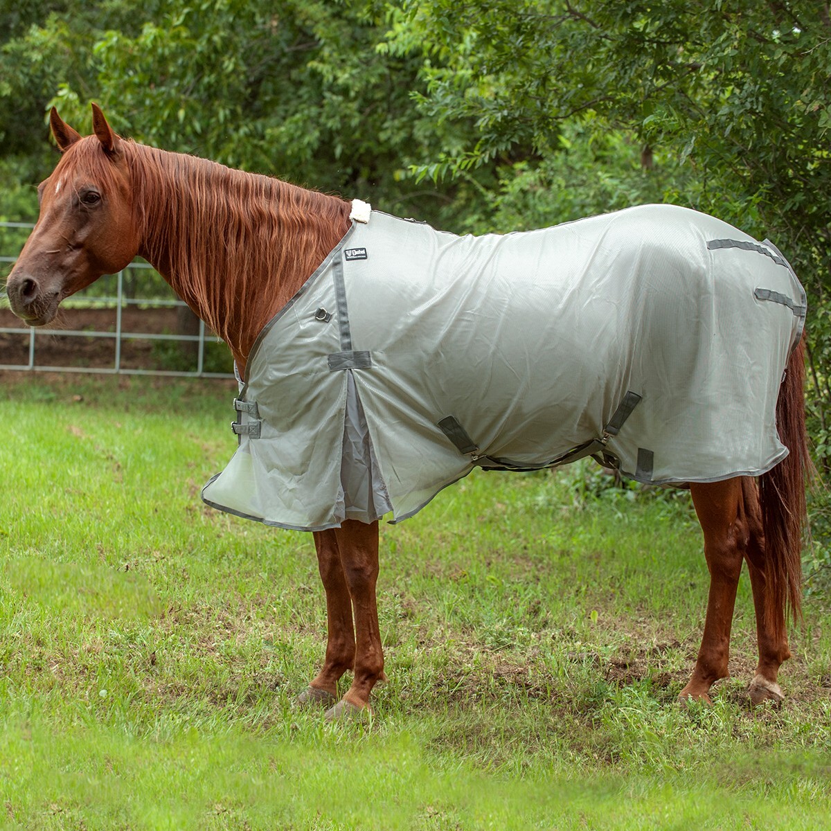 Cashel Econo Horse Flysheet Size Medium 77"/ 79"  Lightweight Gray New