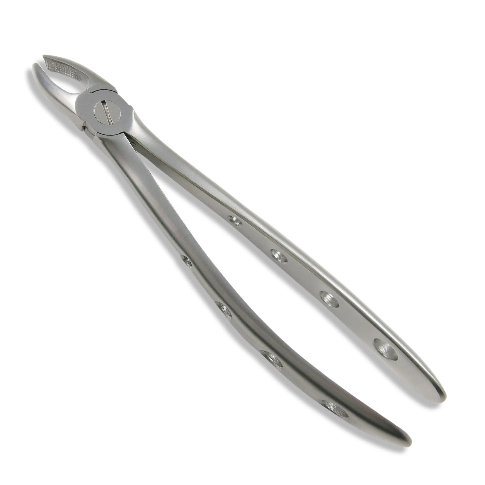 Osung Adult Extraction Forcep, FXX18