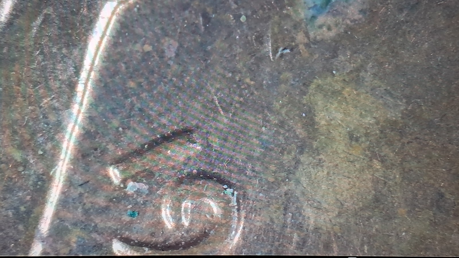 1968,MACHINE DOUBLED OBVERSE Possible Planchet Error, 1968 D, Red #611