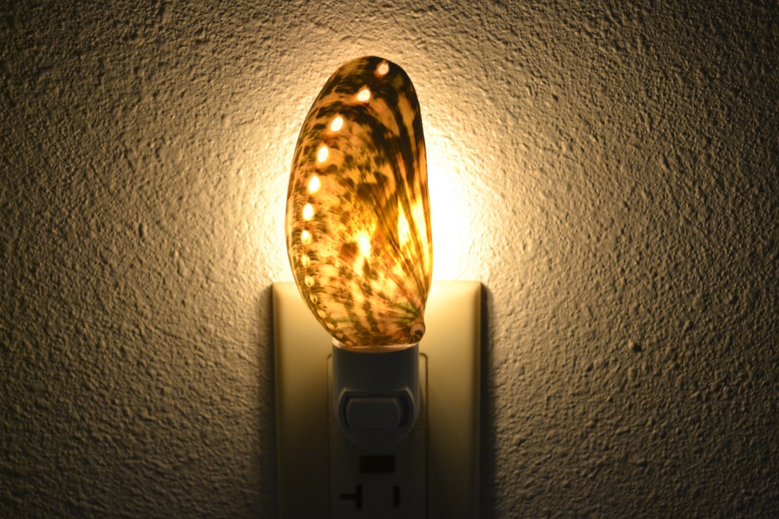 GREEN ABALONE SHELL NIGHT LIGHT BATHROOM KITCHEN #9035