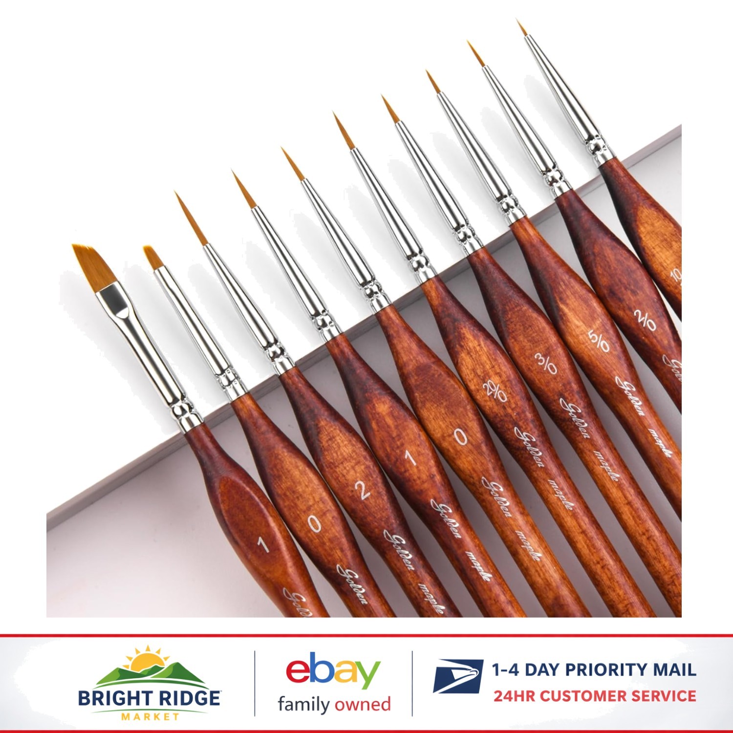 Fine Detail Paint Brushes - 10pcs Set for Miniatures and Precision Painting